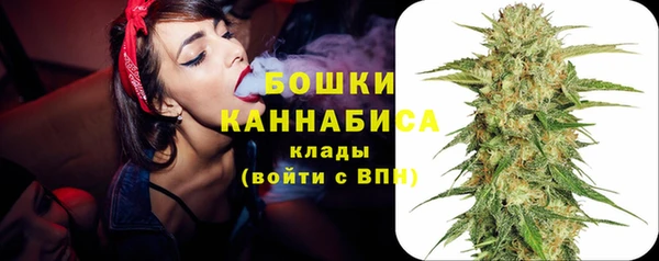 твердый Тында