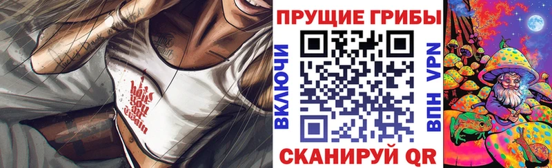 Псилоцибиновые грибы GOLDEN TEACHER  Ветлуга 